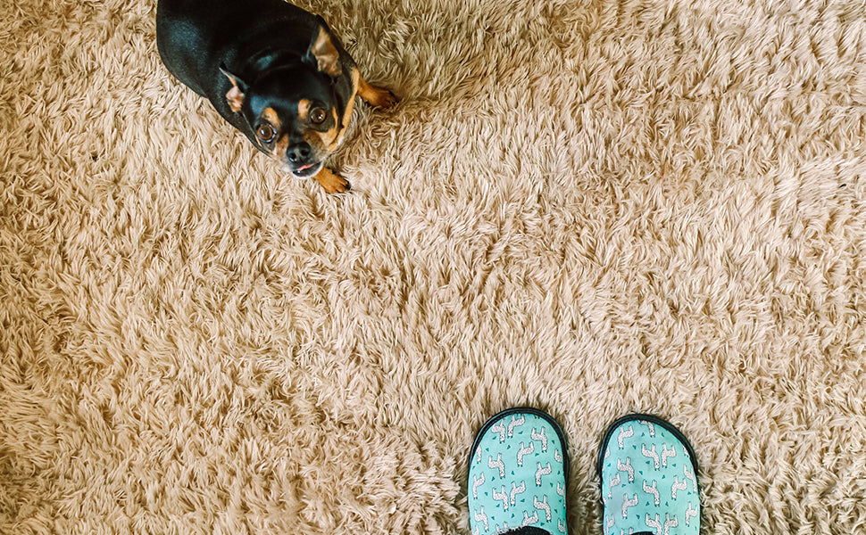 Tips for Cleaning Rugs