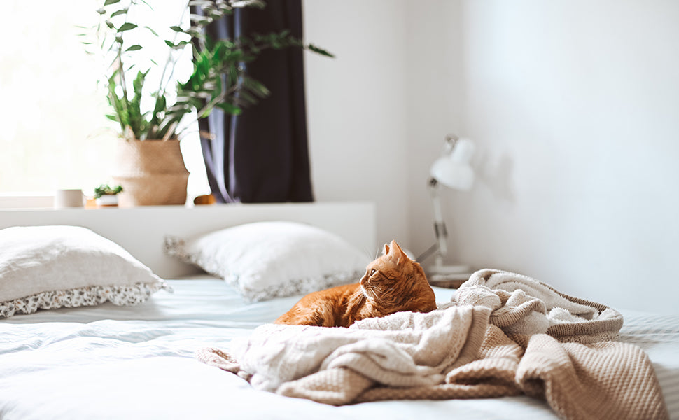 Messy Bedroom Might Affect Your Mood