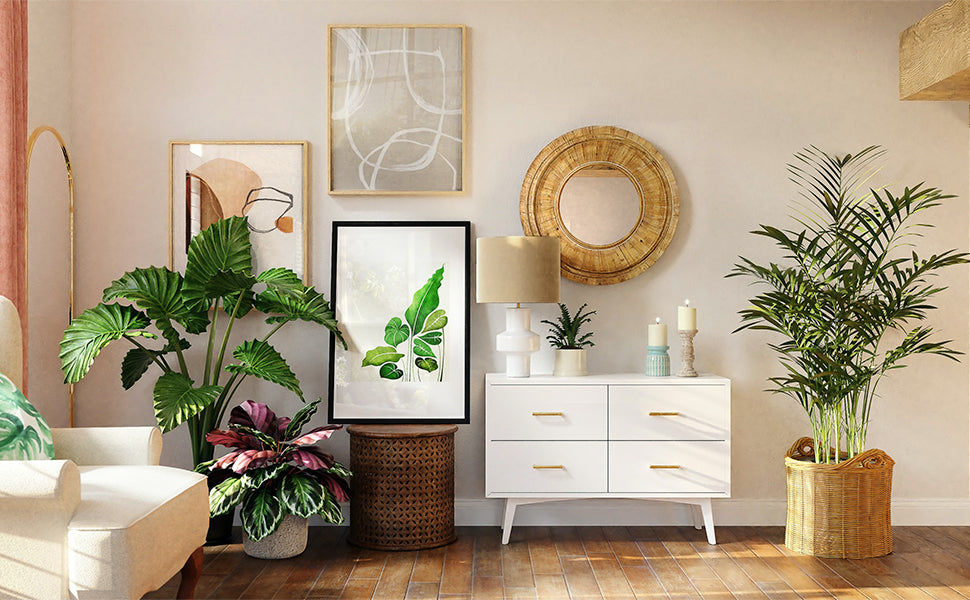 Houseplant Décor Ideas – Where to Put Houseplants and What Effect Does it Achieve?