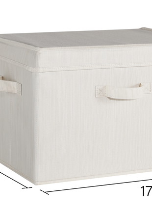 Fabric Storage Bins with Lid, 2-Pack