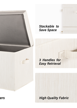 Fabric Storage Bins with Lid, 2-Pack
