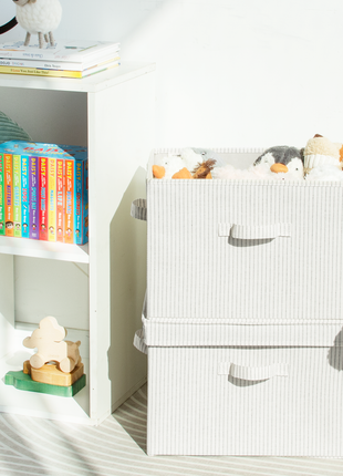 Fabric Storage Bins with Lid, 2-Pack