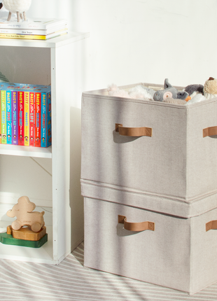 Fabric Storage Bins with Lid, 2-Pack
