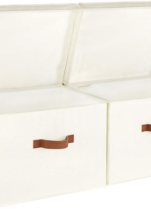 Fabric Storage Bins with Lid, 2-Pack