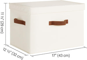 Fabric Storage Bins with Lid, 2-Pack