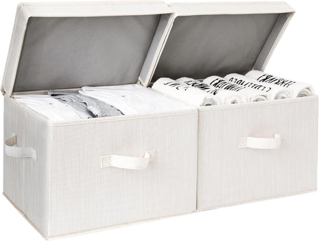 Fabric Storage Bins with Lid, 2-Pack