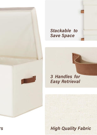 Fabric Storage Bins with Lid, 2-Pack
