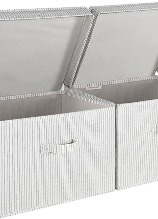Fabric Storage Bins with Lid, 2-Pack