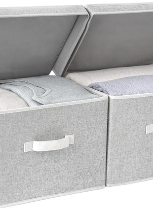 Fabric Storage Bins with Lid, 2-Pack