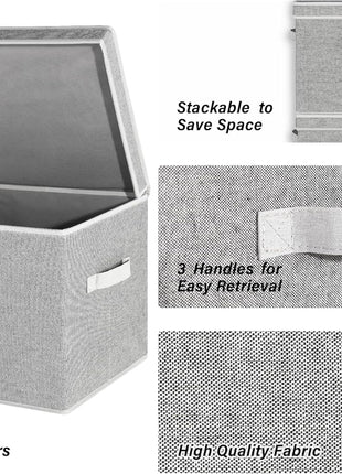 Fabric Storage Bins with Lid, 2-Pack