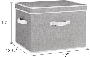 Fabric Storage Bins with Lid, 2-Pack