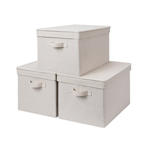 Lidded Large Storage Bins, 3 Pack