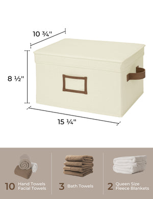 Lidded Large Storage Bins, 3 Pack