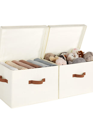Fabric Storage Bins with Lid, 2-Pack