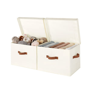 Fabric Storage Bins with Lid, 2-Pack