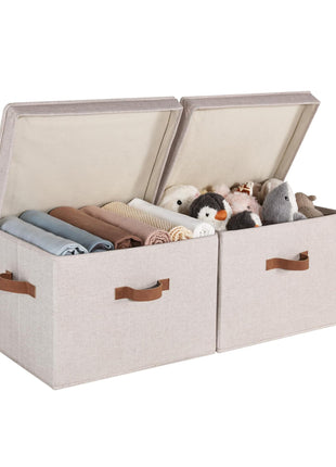 Fabric Storage Bins with Lid, 2-Pack
