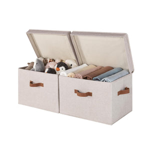 Fabric Storage Bins with Lid, 2-Pack