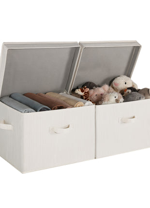 Fabric Storage Bins with Lid, 2-Pack