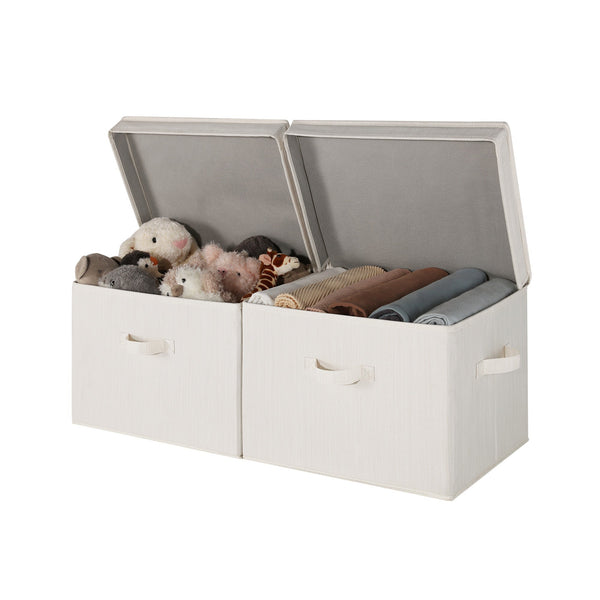 Fabric Storage Bins with Lid, 2-Pack