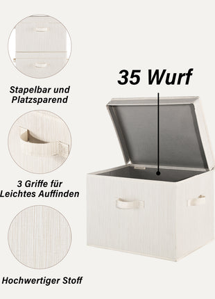 Fabric Storage Bins with Lid, 2-Pack