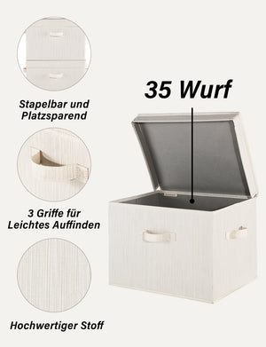 Fabric Storage Bins with Lid, 2-Pack