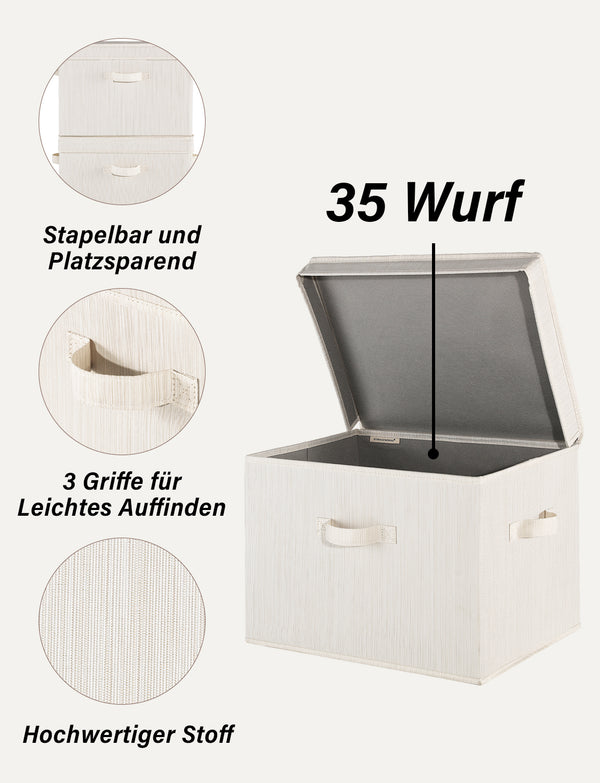 Fabric Storage Bins with Lid, 2-Pack