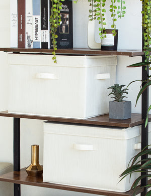 Fabric Storage Bins with Lid, 2-Pack