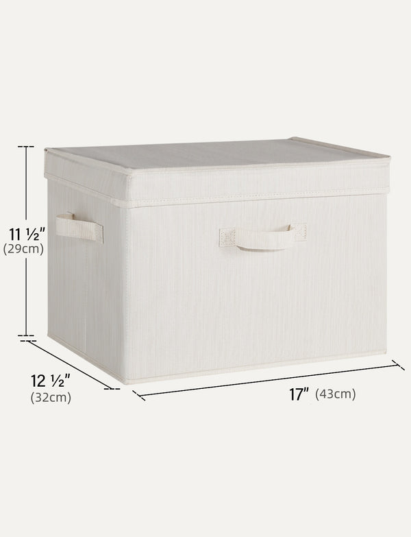 Fabric Storage Bins with Lid, 2-Pack
