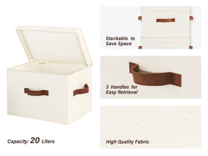 Fabric Storage Bins with Lid, 2-Pack