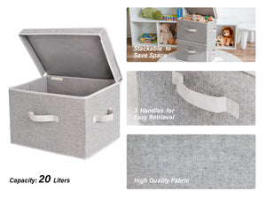 Fabric Storage Bins with Lid, 2-Pack