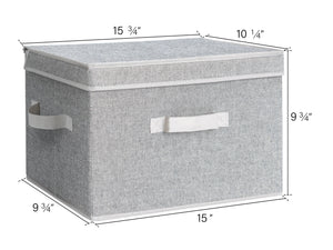 Fabric Storage Bins with Lid, 2-Pack