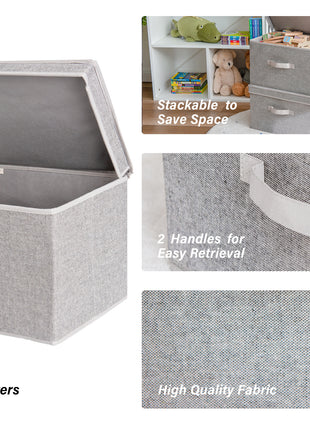 Fabric Storage Bins with Lid, 2-Pack