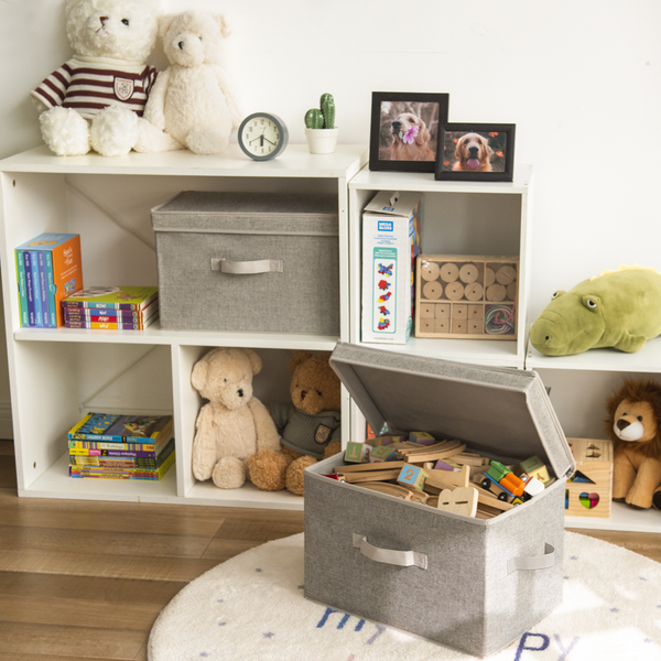 Fabric Storage Bins with Lid, 2-Pack