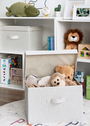 Fabric Storage Bins with Lid, 2-Pack