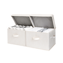 Fabric Storage Bins with Lid, 2-Pack