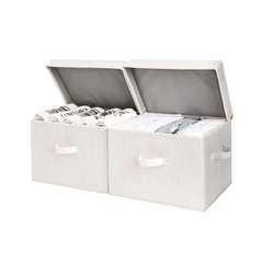 Fabric Storage Bins with Lid, 2-Pack