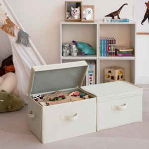 Fabric Storage Bins with Lid, 2-Pack