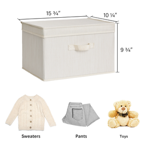 Fabric Storage Bins with Lid, 2-Pack