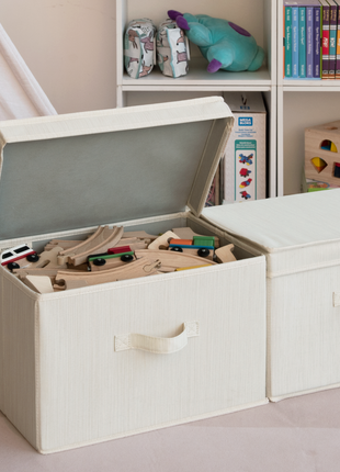 Fabric Storage Bins with Lid, 2-Pack