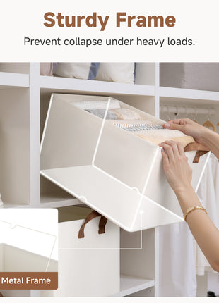 Storage Bins, Shelves Baskets for Organizing, 2 Pack