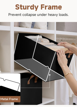 Storage Bins, Shelves Baskets for Organizing, 2 Pack