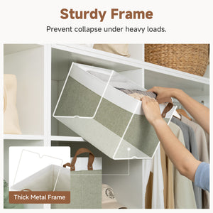 Storage Bins, Shelves Baskets for Organizing, 2 Pack