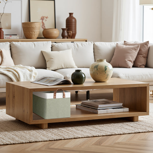 Storage Bins, Shelves Baskets for Organizing, 2 Pack