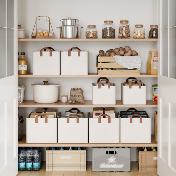 Storage Bins, Shelves Baskets for Organizing, 2 Pack