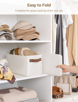 Narrow Storage Bins for Shelves, Large, Set of 2