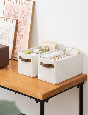 Narrow Storage Bins for Shelves, Large, Set of 2