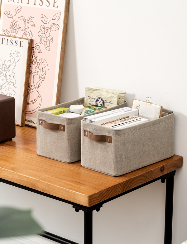 Narrow Storage Bins for Shelves, Large, Set of 2