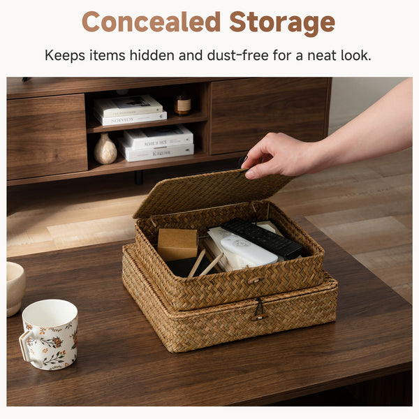 Flat Seagrass Storage Bins with Lid, Small + Large