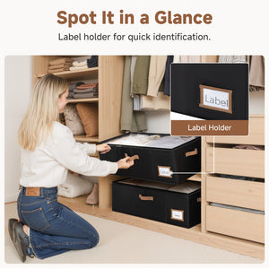 10'' Underbed Storage Containers with Lid