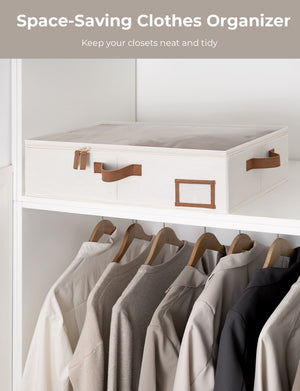 Under Bed Storage Containers with Lid, Solid Color, 2 Pack